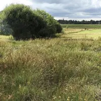 L'exploitation des prairies humides demande une adaptation au cas par cas suivant l'année.