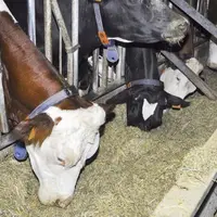 Producteurs et transformateurs alertent sur le risque de détourner les éleveurs de la production de lait si des hausses de tarifs ne sont pas passées