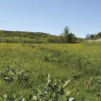 En la substituant à des forêts ou en la gérant de manière trop intensive, nous transformons peu à peu la prairie en une source de réchauffement à l’éc