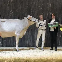 Lalante, fille de Hamster a été élue Miss BGS.
