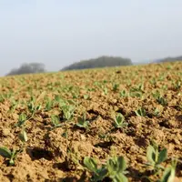 La fertilité du sol n'est pas seulement chimique, mais aussi physique et biologique. Un diagnostic permet d'estimer l'état du sol de sa parcelle, et d