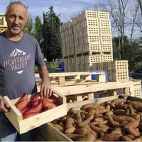 L'EARL Mont-Bio à Montmeyran, dans la Drôme, s'est lancée en 2014 dans la culture de la patate douce bio. Une diversification réussie qui nécessite to