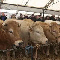 Malgré une météo changeante, ils était plus de 1 000 à se presser, samedi 1er avril, dans les allées du pré de la foire de Langogne.