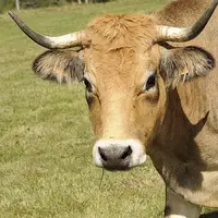 Si tous les dossiers n’ont pas eu d’issue visible, la FDSEA de la Lozère l’assure, « la défense de l’agriculture et de ses acteurs est un combat de to