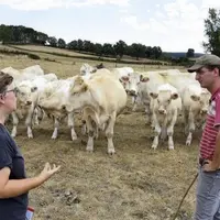 En Saône-et-Loire, plusieurs éleveurs expérimentent le report d’herbe sur pied pour s’adapter à la sécheresse. Ici, chez Pierre-Étienne Fuet à Ciry-le