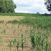  La Commission européenne a encore assoupli certaines règles en faveur des viticulteurs (concernant principalement la plantation et l’arrachage) et pr