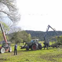 Il est interdit de tailler les haies entre le 1er avril et le 31 juillet inclus, excepté pour des raisons de sécurité ou si une branche touche une clô