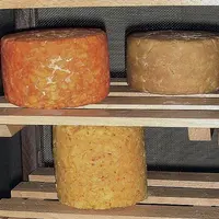 Colorer ses tommes ou les aromatiser représente un moyen de diversifier sa gamme au moment des fêtes. Exemples de tomes colorées et aromatisées : roco
