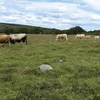 Les tendances climatiques à horizon 2050 en Lozère prévoient globalement un maintien du cumul annuel de pluviométrie, mais une augmentation de l’évapo
