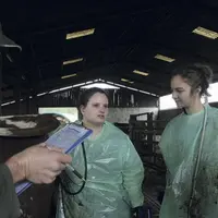 Séance d’examen minutieuse des animaux.