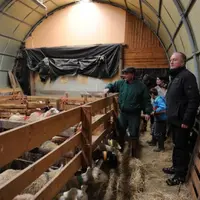David Folcher, conseiller Chambre d’agriculture et Sophie Mercey, assistante sociale à la MSA, visitent la bergerie de Thierry Tichit, en compagnie de