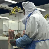 L’Adiv va proposer dès cette année et pour la première fois des formations spécifiques aux métiers de la filière volaille.