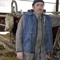 Rolland Chataing gère la production laitière de l'exploitation, tandis que Joannès Chataing et son fils Cyril s'occupent de l'atelier porcin.