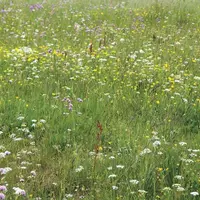 Pour la sixième édition du concours départemental des pratiques agro-écologiques, le Copage et le PNR Aubrac se sont associés à l’association bœuf fer