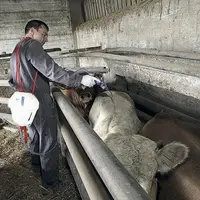 Les produits antiparasitaires apparaissent nombreux, alors que le nombre de molécules est réduit.