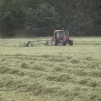 La FNA (négoce) et le Synacomex (export de grains) dénoncent les baisses de production estimées par des études d'impact sur la stratégie De la ferme à