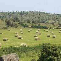 Une mission de l'Assemblée nationale recommande des mesures visant à renforcer l'attractivité des baux ruraux pour les propriétaires.
