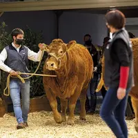 Du 25 février au 5 mars, la grand-messe annuelle de l’agriculture revient pour une 59e édition qui retrouve ses aplombs, après quelques années bouscul