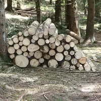 Le programme Sylv'acctes, qui aide des acteurs publics ou privés à financer des actions vertueuses dans les massifs forestiers en Aura et préserver le