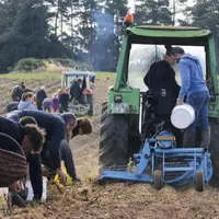 Samedi 23 septembre a eu lieu cette nouvelle édition du ramassage au champ des Pépites de l'Aubrac, qui lance la saison de ramassage pour les producte
