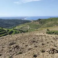 À la suite du Varenne de l'eau, la chambre régionale d'agriculture et le conseil régional d'Occitanie ont accéléré leurs réflexions sur l'adaptation c