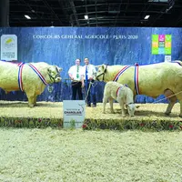 Neptune a remporté le prix de championnat mâle et Helvétie remporte le prix de championnat femelle.