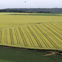 Les conséquences potentielles de la stratégie De la ferme à la table continuent d'inquiéter le secteur agricole. La Commission européenne aurait réali