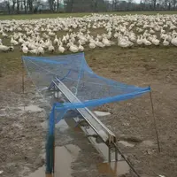 Prévention de la grippe : les accès aux abreuvoirs extérieurs sont protégés des oiseaux sauvages par des filets.