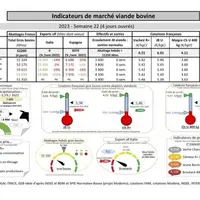 Comme chaque mercredi, voici les indicateurs de marché viande bovine, proposés par la FNB pour faciliter la lecture du marché de la viande bovine par