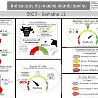 Comme chaque mercredi, voici les indicateurs de marché viande bovine, proposés par la FNB pour faciliter la lecture du marché de la viande bovine par