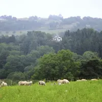 Le Massif central, terre d’élevage où les projets liés à l’activité agricole sont nombreux.