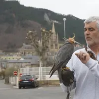 Ludwig Verschatse possède une soixantaine de rapaces dans sa fauconnerie (www.merlyn.fr).