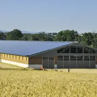 L'explosion des prix du gaz et de l'électricité fragilise les entreprises en plein travail sur leurs budgets 2023. Au-delà de l'urgence à court terme,