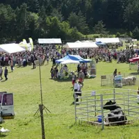 Près de 10000 visiteurs sont passés à la fête ce dimanche 27 juillet.