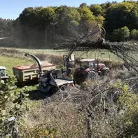 Les plaquettes forestières sont issues du broyage du bois en copeaux.