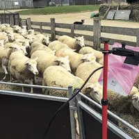 Toutes les boucles électroniques seront bientôt lues en un seul passage.