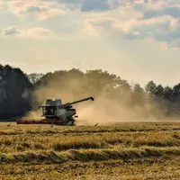 « L'orge de printemps semblent avoir davantage souffert du sec. C'est en revanche une bonne année pour le colza. »