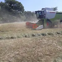 faible besoin)
La récolte d'un ha de graines permet donc de réimplanter une vingtaine d'hectares de trèfle.
De la luzerne pour « passer » les périodes