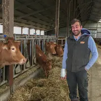 Florian Vilette en pleine complicité avec ses vaches