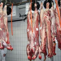 carcasse dans un abattoir dans le Puy-de-Dôme