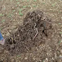 Bêche analyse de sol agricole