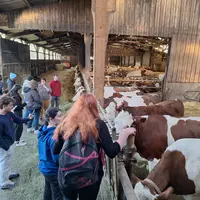 Les jeunes se sont montrés très intéressés par l'exploitation de Pauline et Claude Bonnet, en particulier  par les vaches laitières.