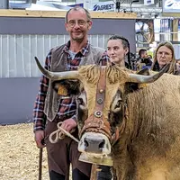 Patrick Solignac tient Lebroune, sa vache Aubrac âgée de neuf ans, sur un ring.