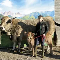Autour d'Océannie et Volcan, vache Aubrac et son veau, se trouvent Lise, Alexandre et Isabelle Trigosse.