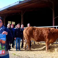 Présentation de l'affiche des Boeufs de Pâques du pays de Montsalvy
