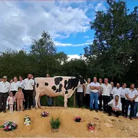 Un groupe d'éleveur encadrent une vache laitière.