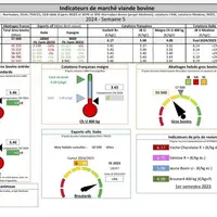 Tableau et graphiques pour présenter les indicateurs de viande bovine, agrégés par la FNB.