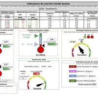 Tableaux et graphiques des indicateurs de viande bovine pour la semaine 6
