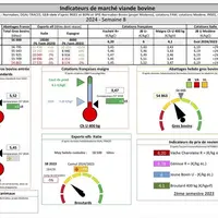 Indicateurs de marché viande bovine de la semaine 8 sous formes de tableaux et graphiques