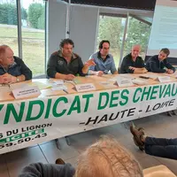 Le syndicat départemental des éleveurs de chevaux lourds était en assemblée générale à Chaspuzac.